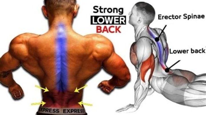 How to heal erector spinae muscles?