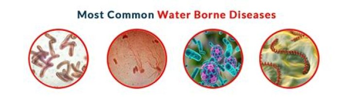 When were water borne diseases discovered?